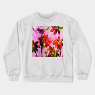 Candy Pink Print Crewneck Sweatshirt